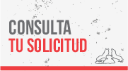 Consulta tu solicitud